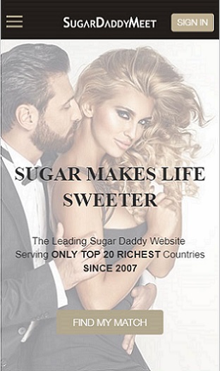 sugardaddy meet review